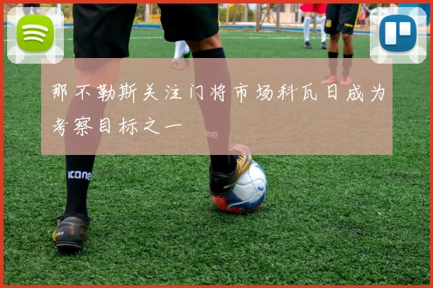 那不勒斯关注门将市场科瓦日成为考察目标之一