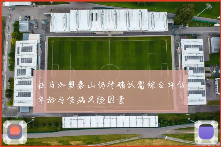 祖马加盟泰山仍待确认需综合评估年龄与伤病风险因素