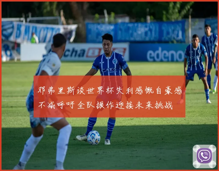 邓弗里斯谈世界杯失利感慨自豪感不减呼吁全队振作迎接未来挑战